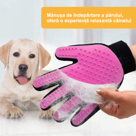 manusa tip perie roz [2]