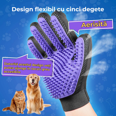 Manusa tip perie Mov [3]