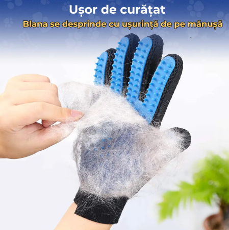 Manusa tip perie, Albastru [9]