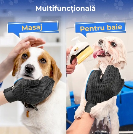 Manusa tip perie, Albastru [7]