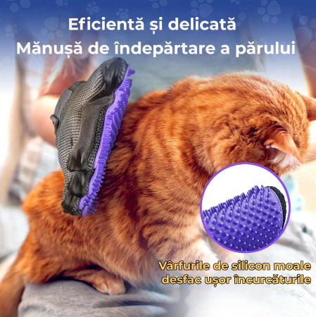 Manusa tip perie Mov [6]
