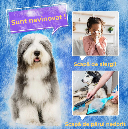 Manusa tip perie Mov [2]