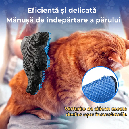 Manusa tip perie, Albastru [8]