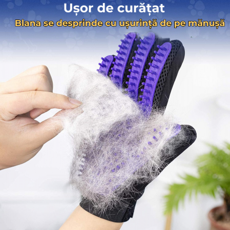 Manusa tip perie Mov [4]