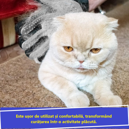 Manusa tip perie, Albastru [6]