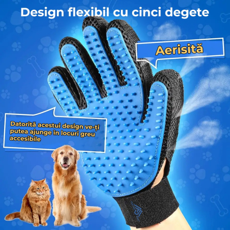 Manusa tip perie, Albastru [1]