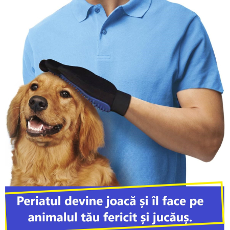 Manusa tip perie, Albastru [4]