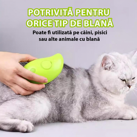Perie pentru animale de companie cu aburi - Verde [2]