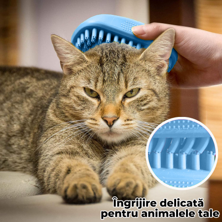 Perie de spalat pentru caini si pisici - albastra [4]
