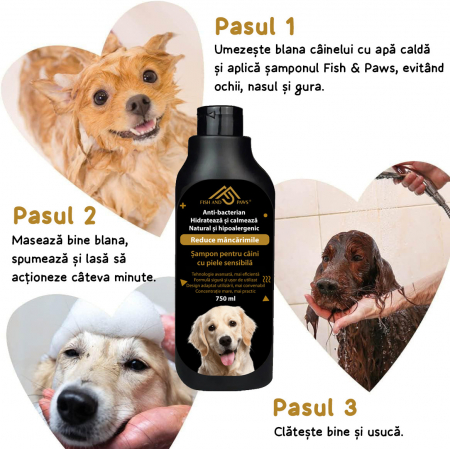 Sampon pentru caini anti-bacterian [4]