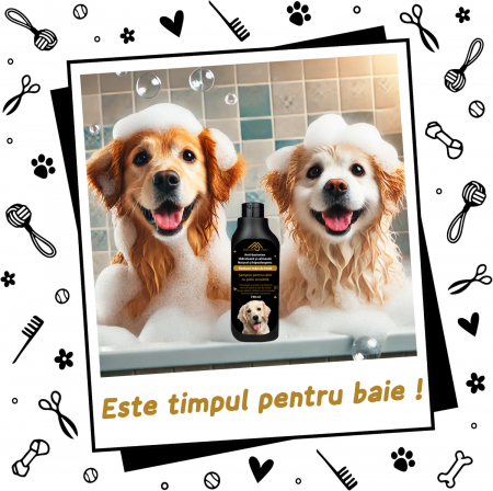 Sampon pentru caini anti-bacterian [2]