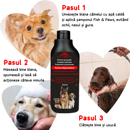 Sampon pentru caini anti-purici [4]
