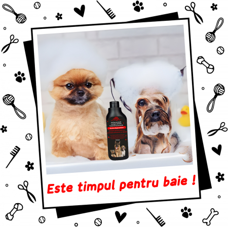 Sampon pentru caini anti-purici [2]