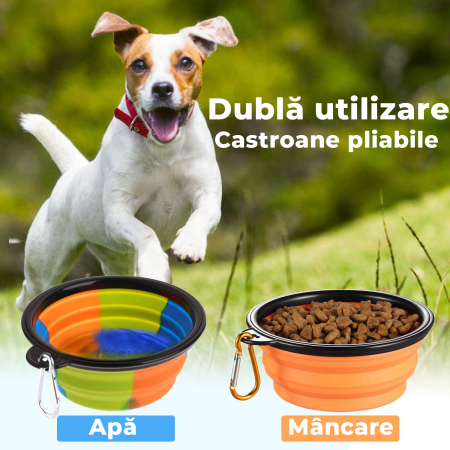 Sticla portabila de apa cu 2 boluri pliabile pentru Caini si Pisici [1]