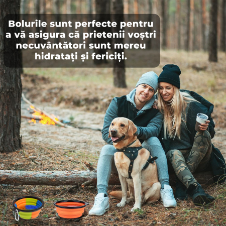 Sticla portabila de apa cu 2 boluri pliabile pentru Caini si Pisici [5]