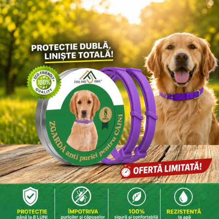 Zgarzi - Zgarda anti purici - 1 Buc