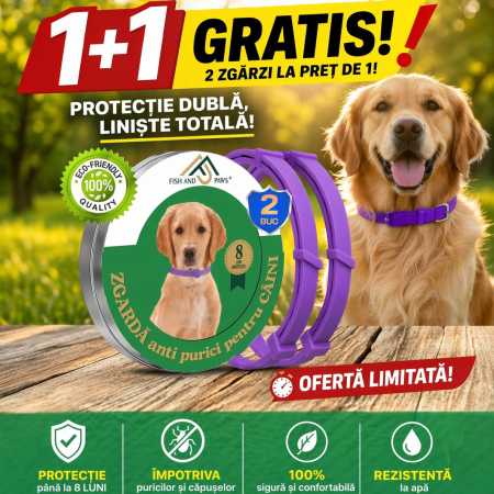 Zgarzi - Zgarda anti purici - 2 Buc