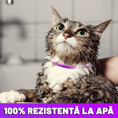 Zgarda anti purici - 2 Buc [1]