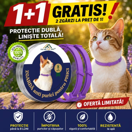 Zgarzi - Zgarda anti purici - 2 Buc