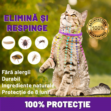 Zgarda anti purici - 2 Buc [4]