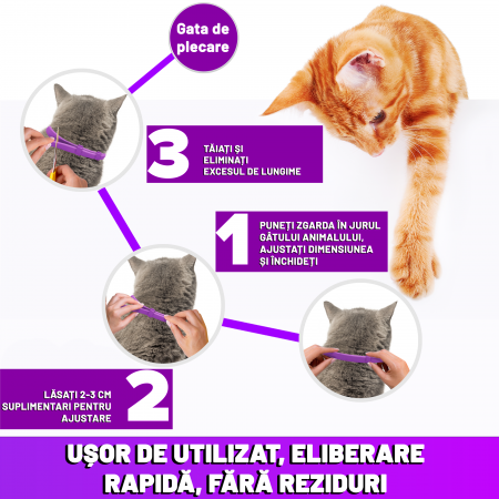 Zgarda anti purici - 2 Buc [3]