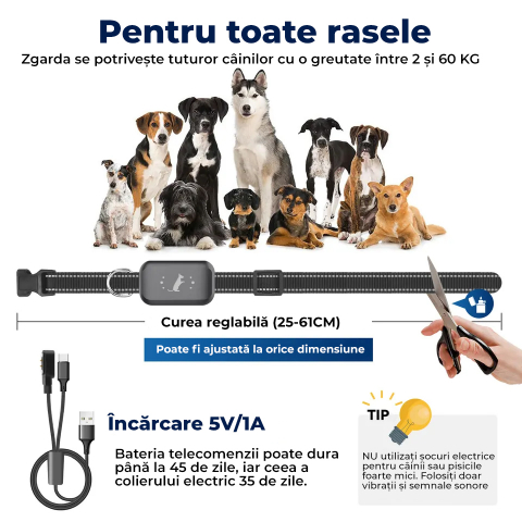 Zgarda electrica cu telecomanda - RESIGILAT [2]