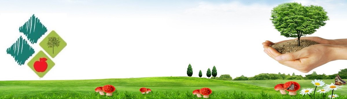 FitoChef1