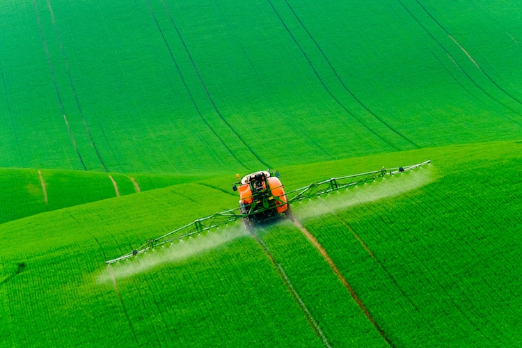 Pesticide