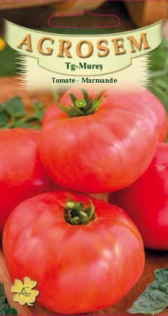 TOMATE MARMANDE,0.8g [1]