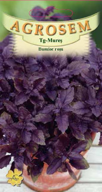 BUSUIOC ROSU RED BASIL 1 g [1]