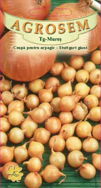 CEAPA ARPAGIC STUTTGART, 2GR [1]
