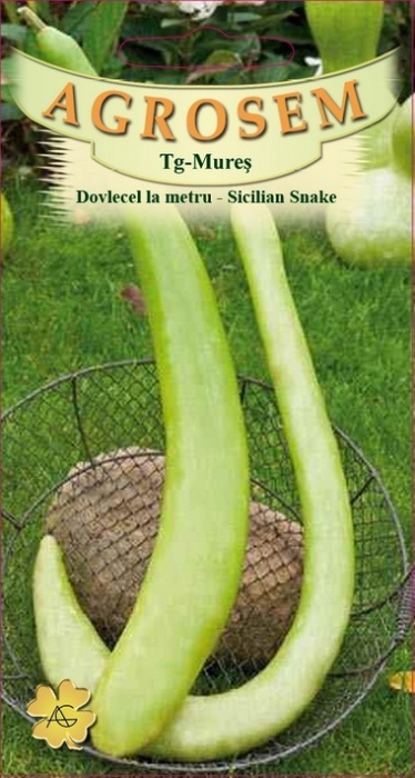 DOVLECEL LA METRU SICILIAN, 2 GR [1]