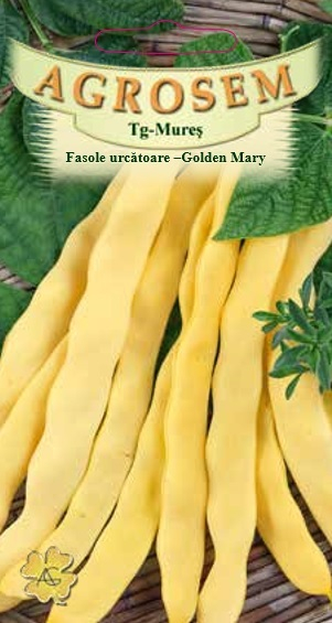 FASOLE URCATOARE GOLDEN MARY, 10G [1]