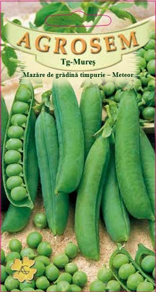 MAZARE TIMPURIE METEOR, 20GR [1]