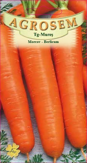 MORCOV BERLICUM, 5GR [1]