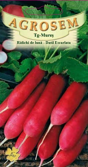 RIDICHII DE LUNA  DATIL ESCARLATA 4 g [1]