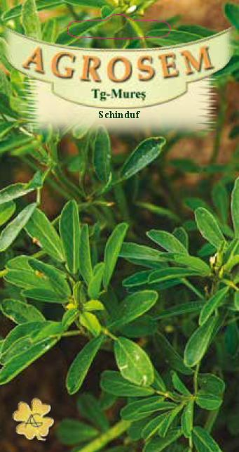 SCHINDUF, 1.5GR [1]