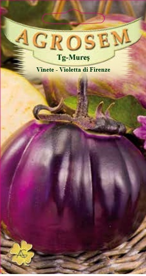 VINETE VIOLETTA DI FIRENZE 1 g [1]