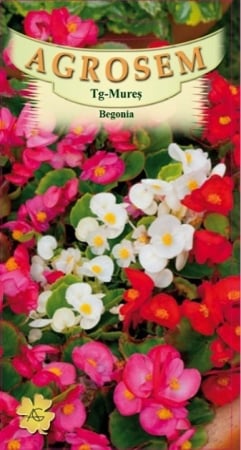 Seminte flori - BEGONIA MIX,  0.01g