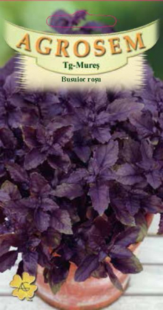 Seminte plante aromatice - BUSUIOC ROSU RED BASIL 1 g