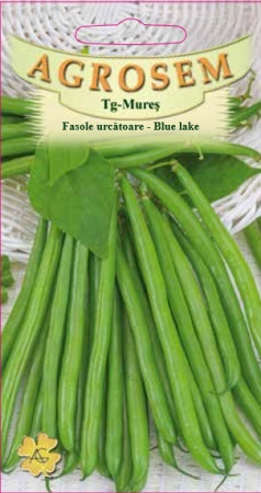 FASOLE URCATOARE VERDE BLUE LAKE, 10g [0]