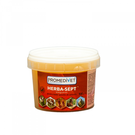 Igiena si ingrijire - HERBA – SEPT , unguent 100g