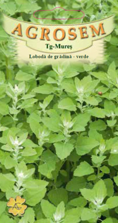 Seminte legume - LOBODA DE GRADINA VERDE 0.4 gr