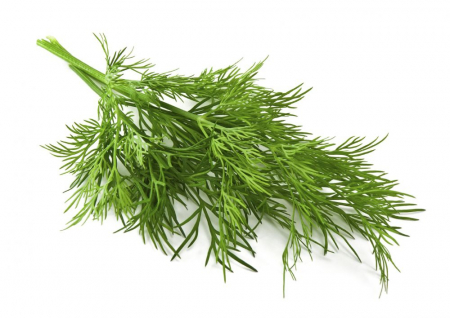 Seminte plante aromatice - MARAR 0.4 GR