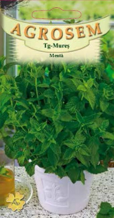 Seminte plante aromatice - MENTA PIPERITA 0.05 g