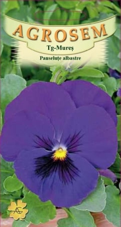 Seminte flori - PANSELUTE ALBASTRE, 0.10GR