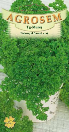 Seminte si material saditor - PATRUNJEL FRUNZA CREATA  0.4 gr