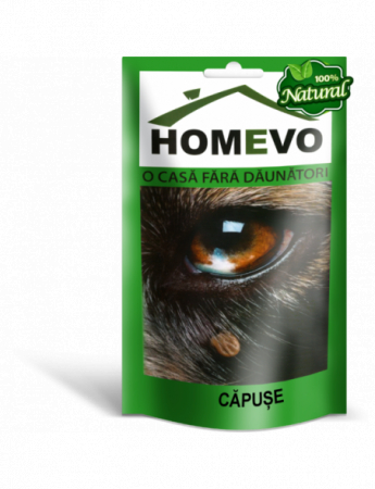 Igiena si ingrijire - Pulbere Anti Capuse Homevo 50g