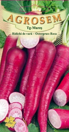 Seminte legume - RIDICHI VARA OSTERGRUSS ROSA , 4g