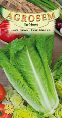 Seminte si material saditor - SALATA ROMANA PARRIS ISLAND, 2g